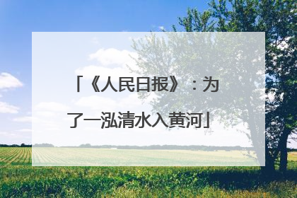 《人民日报》：为了一泓清水入黄河