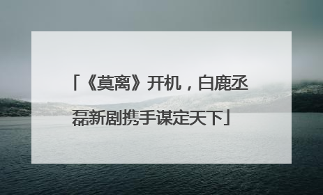 《莫离》开机，白鹿丞磊新剧携手谋定天下