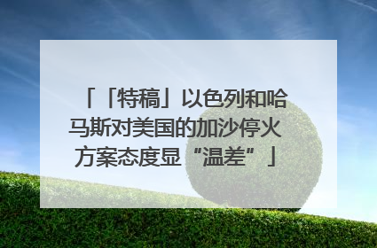 「特稿」以色列和哈马斯对美国的加沙停火方案态度显“温差”