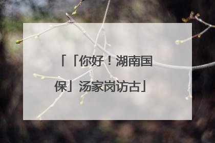 「你好！湖南国保」汤家岗访古