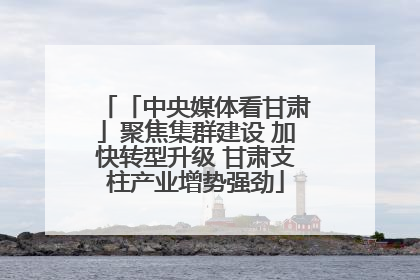 「中央媒体看甘肃」聚焦集群建设 加快转型升级 甘肃支柱产业增势强劲
