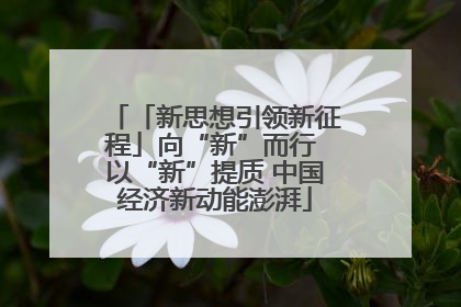 「新思想引领新征程」向“新”而行 以“新”提质 中国经济新动能澎湃