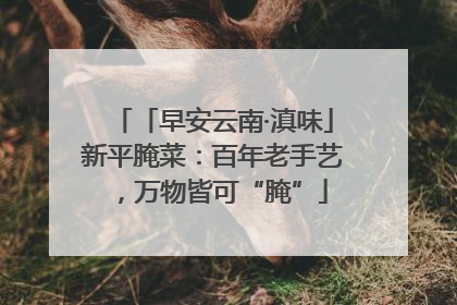 「早安云南·滇味」新平腌菜：百年老手艺，万物皆可“腌”