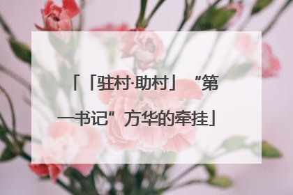「驻村·助村」“第一书记”方华的牵挂