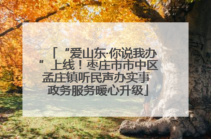 “爱山东·你说我办”上线！枣庄市市中区孟庄镇听民声办实事 政务服务暖心升级