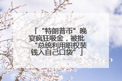 “特朗普币”晚宴疯狂吸金，被批“总统利用职权装钱入自己口袋”