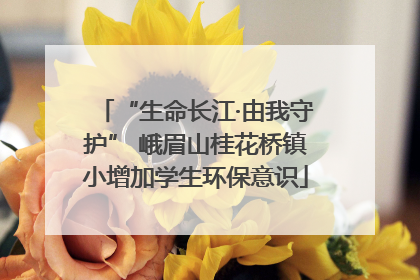 “生命长江·由我守护” 峨眉山桂花桥镇小增加学生环保意识