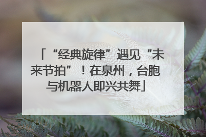 “经典旋律”遇见“未来节拍”！在泉州，台胞与机器人即兴共舞