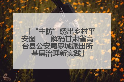 “主防”绣出乡村平安图——解码甘肃省高台县公安局罗城派出所基层治理新实践