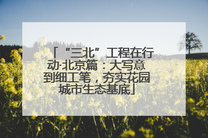 “三北”工程在行动·北京篇：大写意到细工笔，夯实花园城市生态基底