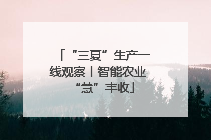 “三夏”生产一线观察丨智能农业“慧”丰收