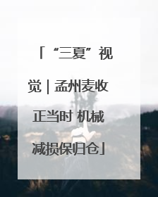 “三夏”视觉｜孟州麦收正当时 机械减损保归仓