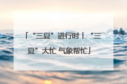 “三夏”进行时丨“三夏”大忙 气象帮忙