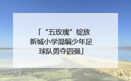 “五玫瑰”绽放 新城小学混编少年足球队勇夺四强