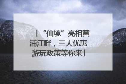 “仙境”亮相黄浦江畔，三大优惠游玩政策等你来