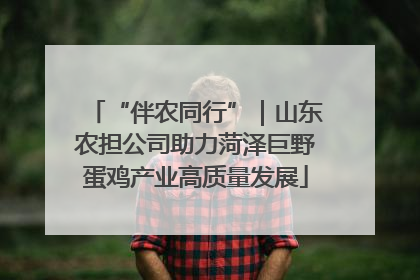 “伴农同行”｜山东农担公司助力菏泽巨野蛋鸡产业高质量发展
