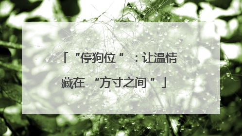 “停狗位 ”：让温情藏在 “方寸之间 ”