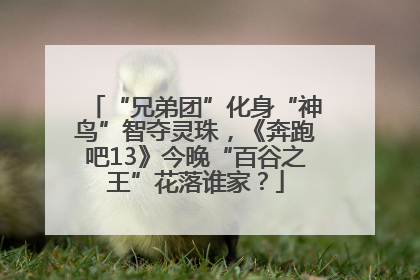 “兄弟团”化身“神鸟”智夺灵珠，《奔跑吧13》今晚“百谷之王”花落谁家？