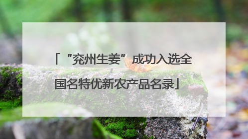 “兖州生姜”成功入选全国名特优新农产品名录