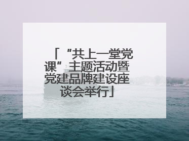 “共上一堂党课”主题活动暨党建品牌建设座谈会举行