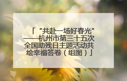 “共赴一场好春光”——杭州市第三十五次全国助残日主题活动共绘幸福答卷（组图）