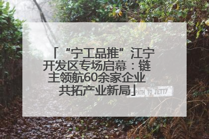 “宁工品推”江宁开发区专场启幕：链主领航60余家企业共拓产业新局