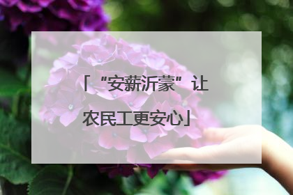 “安薪沂蒙”让农民工更安心