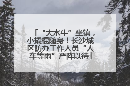 “大水牛”坐镇，小撬棍随身！长沙城区防办工作人员“人车等雨”严阵以待
