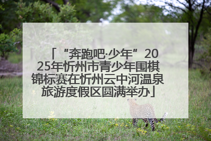 “奔跑吧·少年”2025年忻州市青少年围棋锦标赛在忻州云中河温泉旅游度假区圆满举办