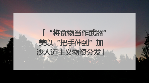 “将食物当作武器” 美以“把手伸到”加沙人道主义物资分发