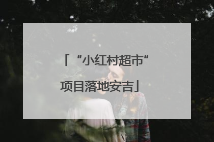 “小红村超市”项目落地安吉