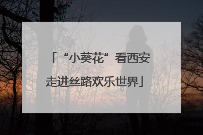 “小葵花”看西安走进丝路欢乐世界