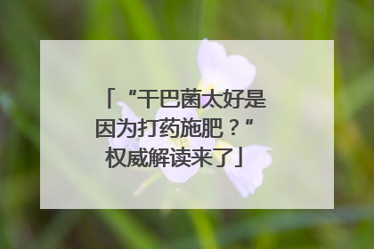 “干巴菌太好是因为打药施肥？”权威解读来了