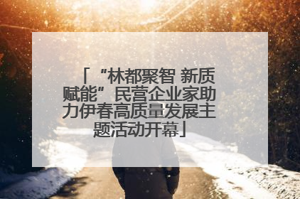 “林都聚智 新质赋能”民营企业家助力伊春高质量发展主题活动开幕