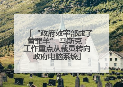 “政府效率部成了替罪羊” 马斯克：工作重点从裁员转向政府电脑系统