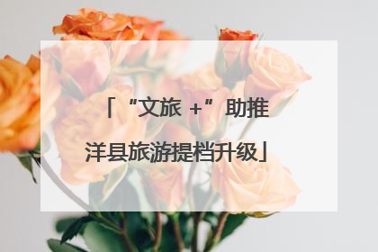 “文旅 +”助推洋县旅游提档升级