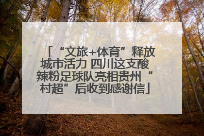 “文旅+体育”释放城市活力 四川这支酸辣粉足球队亮相贵州“村超”后收到感谢信