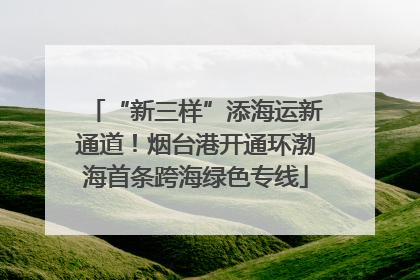 “新三样”添海运新通道！烟台港开通环渤海首条跨海绿色专线
