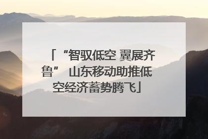“智驭低空 翼展齐鲁” 山东移动助推低空经济蓄势腾飞