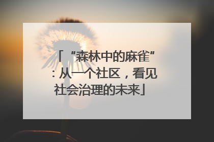 “森林中的麻雀”：从一个社区，看见社会治理的未来