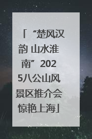 “楚风汉韵 山水淮南”2025八公山风景区推介会惊艳上海