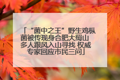 “菌中之王”野生鸡枞菌被传现身合肥大蜀山 多人跟风入山寻找 权威专家回应市民三问