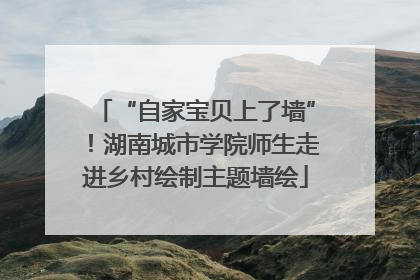 “自家宝贝上了墙”！湖南城市学院师生走进乡村绘制主题墙绘