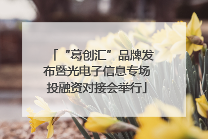“葛创汇”品牌发布暨光电子信息专场投融资对接会举行