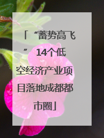 “蓄势高飞” 14个低空经济产业项目落地成都都市圈