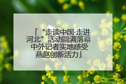 “走读中国·走进河北”活动圆满落幕 中外记者实地感受燕赵创新活力