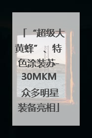 “超级大黄蜂”、特色涂装苏-30MKM 众多明星装备亮相