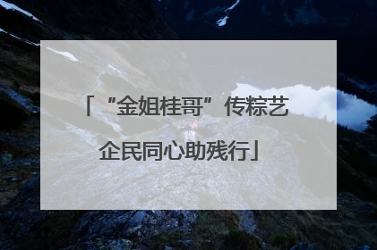“金姐桂哥”传粽艺 企民同心助残行