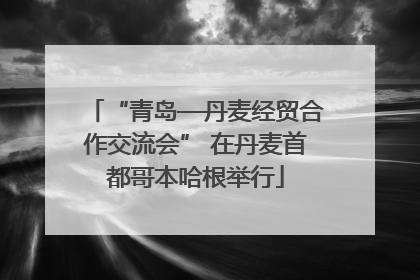 “青岛—丹麦经贸合作交流会” 在丹麦首都哥本哈根举行