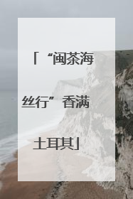 “闽茶海丝行”香满土耳其